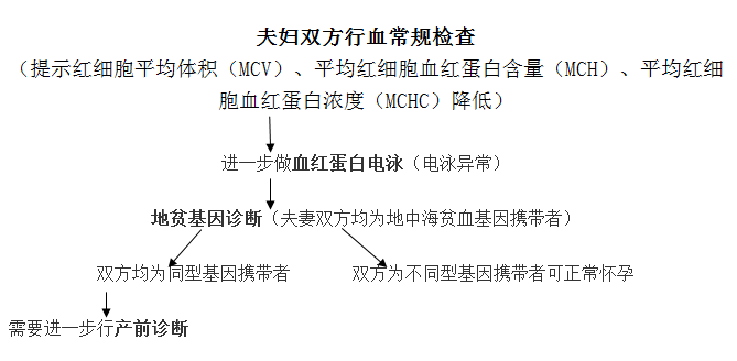 避免因病致貧返貧我們一起攜手遠離地貧重在預防