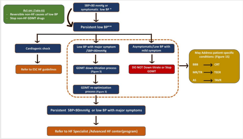 心衰患者血压偏低，救命药该用还得用，欧洲心脏病学会新共识