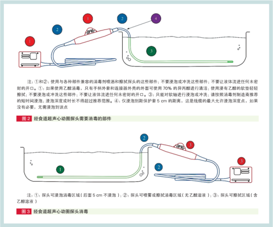 超声探头消毒用什么中国经食道超声心动图探头清洗消毒指南出炉_https://www.jmylbn.com_新闻资讯_第3张