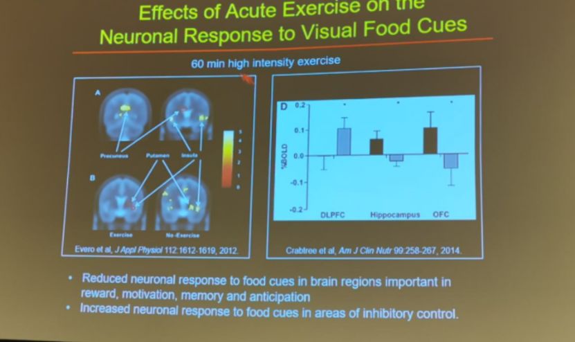 減肥運動快速燃脂_減肥運動的最佳時間_運動減肥