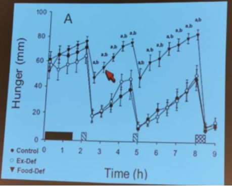 減肥運(yùn)動(dòng)快速燃脂_運(yùn)動(dòng)減肥_減肥運(yùn)動(dòng)的最佳時(shí)間