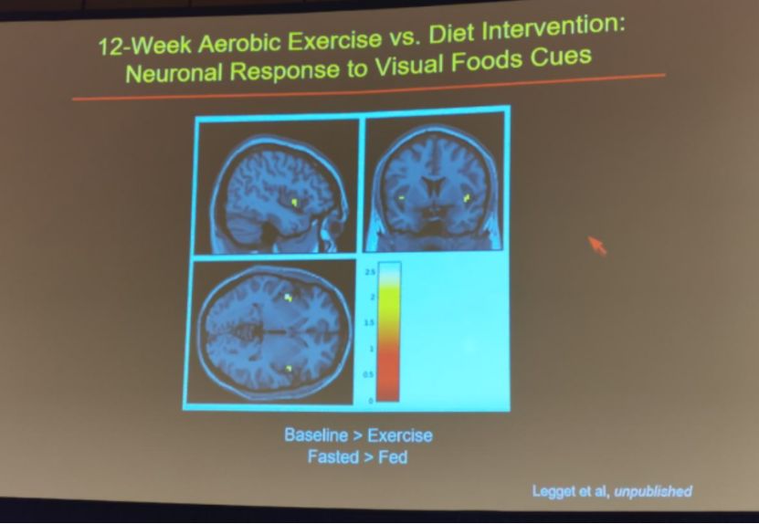 減肥運(yùn)動(dòng)快速燃脂_減肥運(yùn)動(dòng)的最佳時(shí)間_運(yùn)動(dòng)減肥