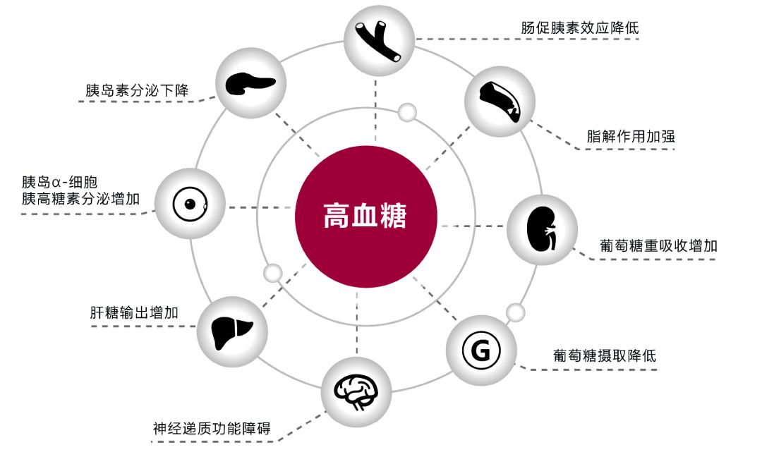 口服降糖药,应该怎么联合使用?-王建刚-爱问医生