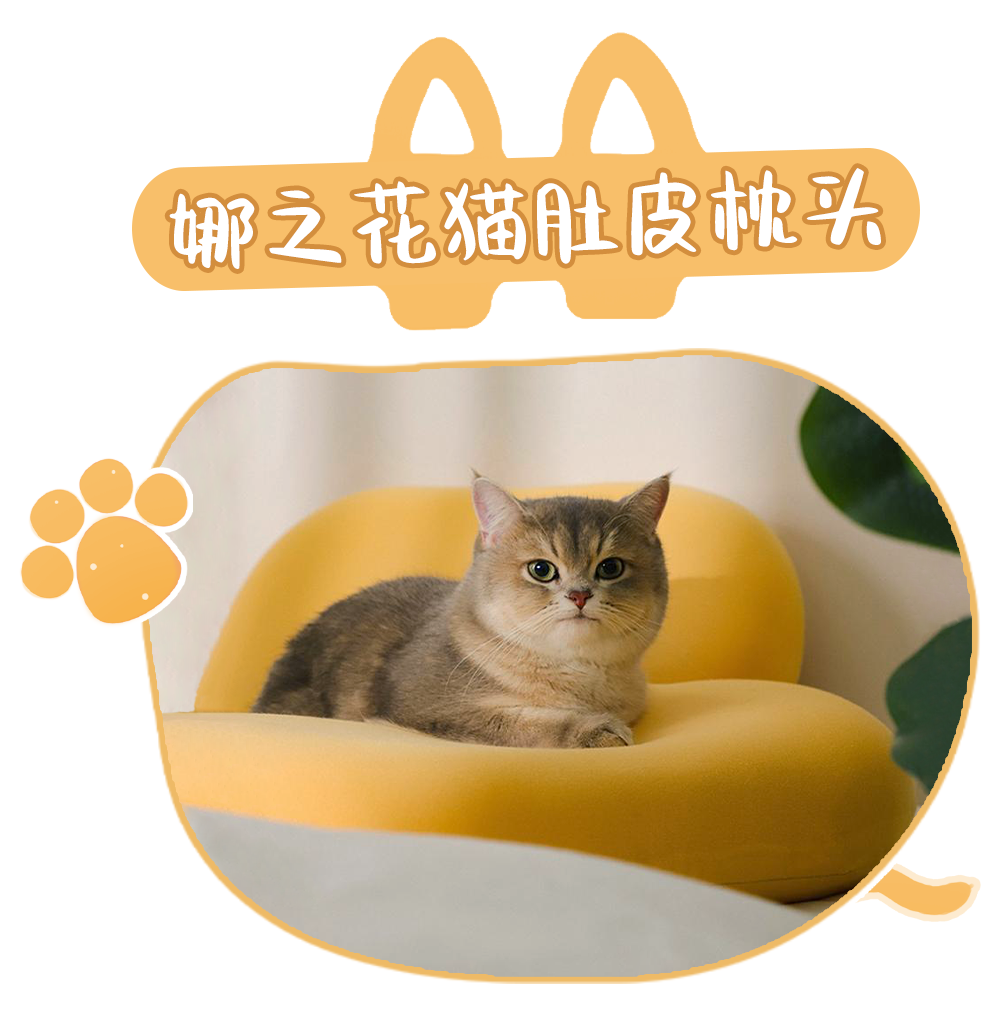 59元 带一只胖橘猫回家 肚皮软乎还不掉毛 心里画师 为新搜