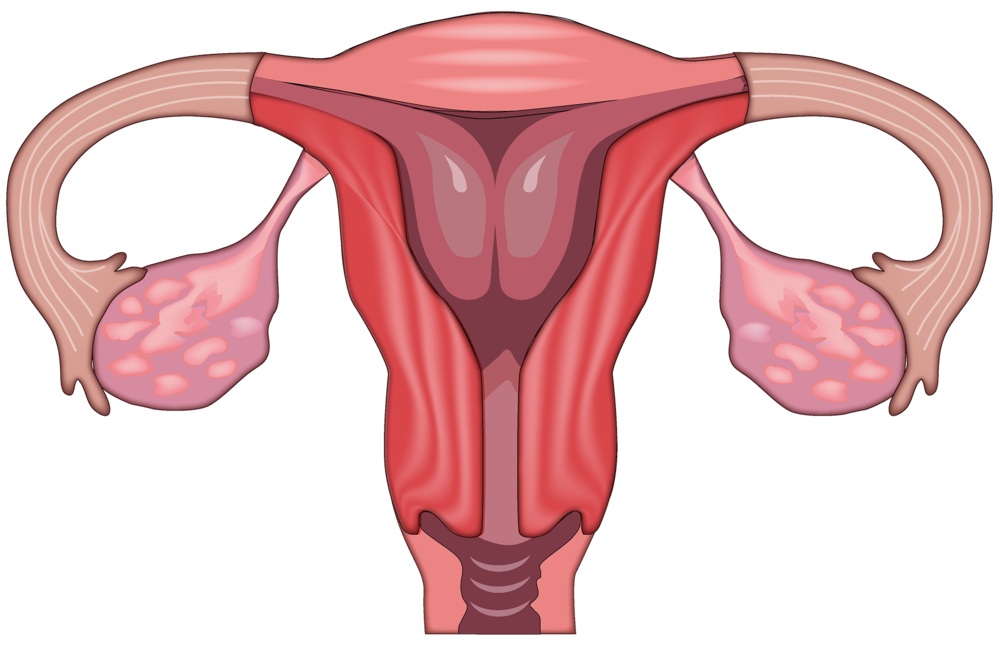 &ldquo;姨妈痛&rdquo;到怀疑人生？可能是身体在拉警报！