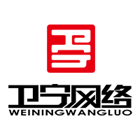 安徽卫宁网络科技有限公司