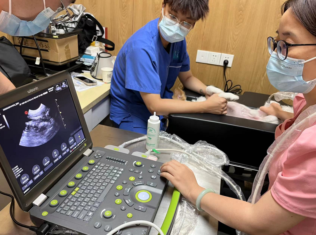 华声医疗 怎么样2022华声前线速递(十四）_https://www.jmylbn.com_新闻资讯_第28张