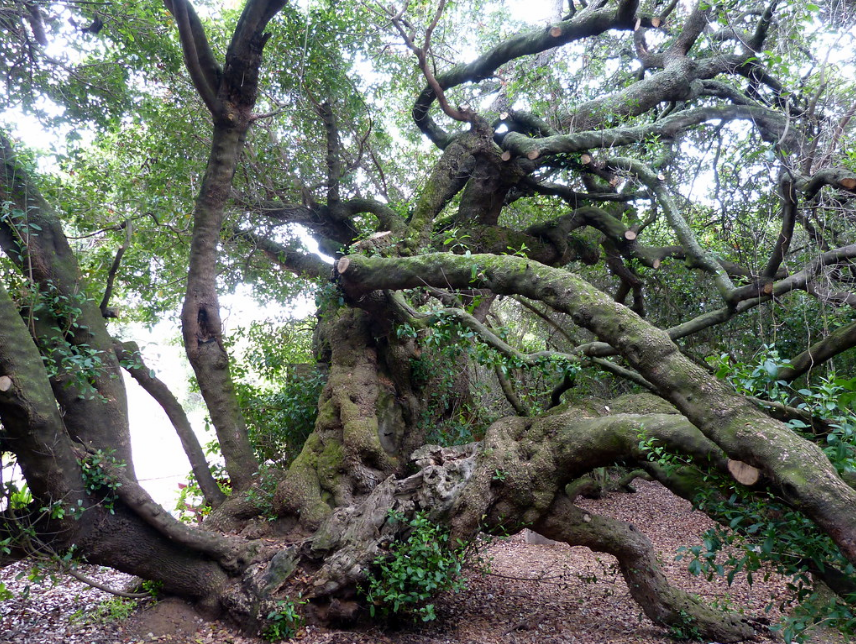 南非属于哪个洲_赞比亚属于南非吗_南非的所在洲