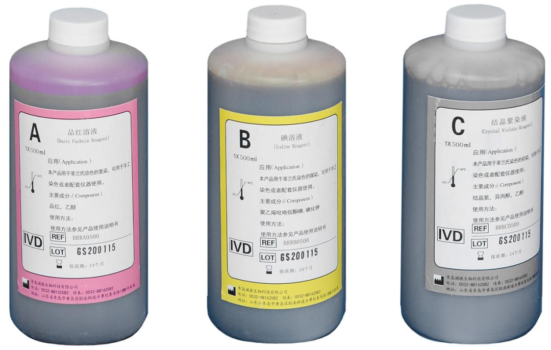 医用染色架 怎么用免疫组化不二选择--全自动染色机_https://www.jmylbn.com_新闻资讯_第6张