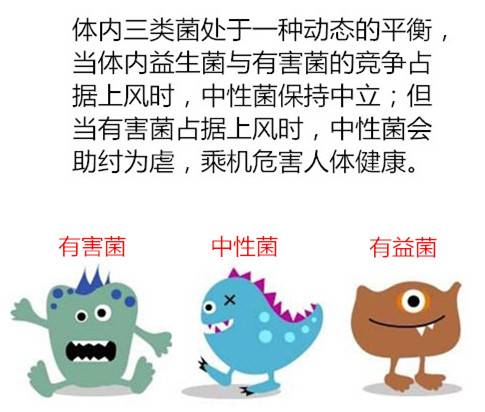 肠道里住着的一支军队