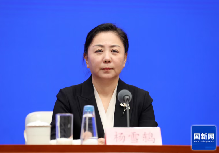 国家体育总局体育经济司司长杨雪鸫