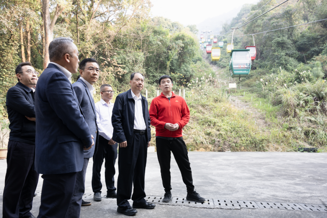 陈岸明督导检查元旦春节节前安全稳定工作