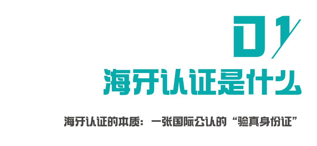 640 - 2025-06-18T151258.700.png