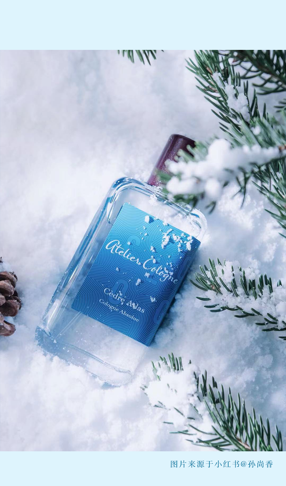 欧珑雪松之恋消失的爱人