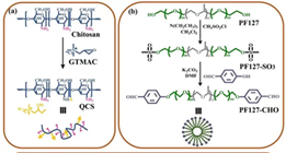 口腔敷料要怎么用医用敷料市场迎来快速发展期，一文汇总骨缺损、牙科、肌腱损伤等敷料领域的最新研究进展_https://www.jmylbn.com_新闻资讯_第14张