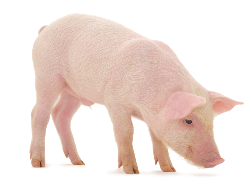 什么仪器可以全身检查从测试、计量到检测技术突破，Medtec China 2022 检测设备展商确保您的产品完美合规_https://www.jmylbn.com_新闻资讯_第34张