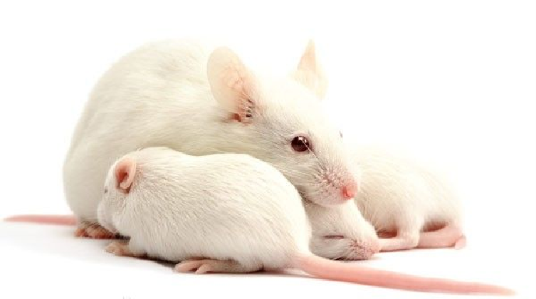 什么仪器可以全身检查从测试、计量到检测技术突破，Medtec China 2022 检测设备展商确保您的产品完美合规_https://www.jmylbn.com_新闻资讯_第33张