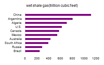 图11：全球页岩气储量前十排名