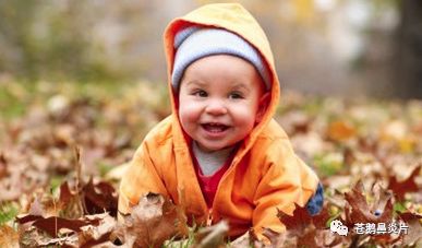 日常生活中，引发过敏性鼻炎的过敏源有哪些？