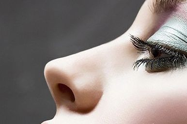 了解鼻子结构和功能，你就知道鼻子有多重要了