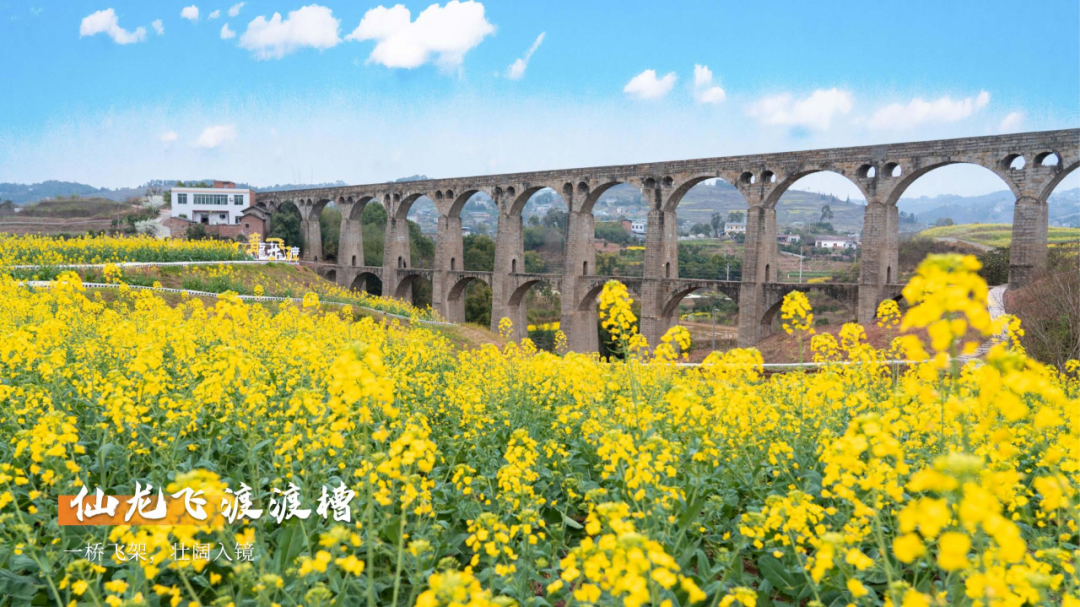 7.7包你出片-5 文旅委_07.png