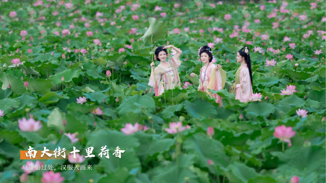 7.7包你出片-5 文旅委_05.png