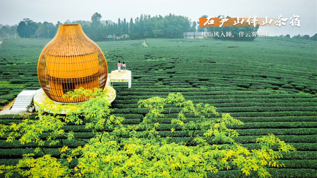 7.7包你出片-5 文旅委_10.png