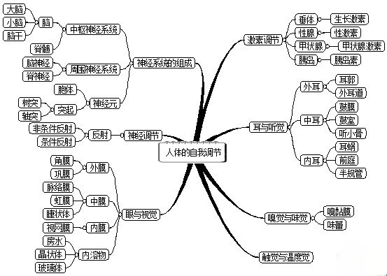 的物質運輸第8章 人體的營養第四單元 生物圈中的人綠色植物與生物第6