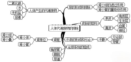 初中生物七年級上冊課本思維導圖暑期預習