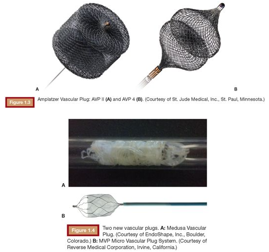 栓塞器材指的哪些栓塞剂简史和分类_https://www.jmylbn.com_新闻资讯_第6张