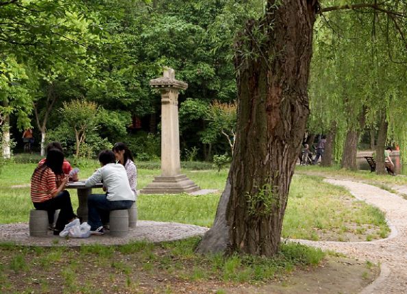 发尾端有白色颗粒？小心！这是脱发前兆！