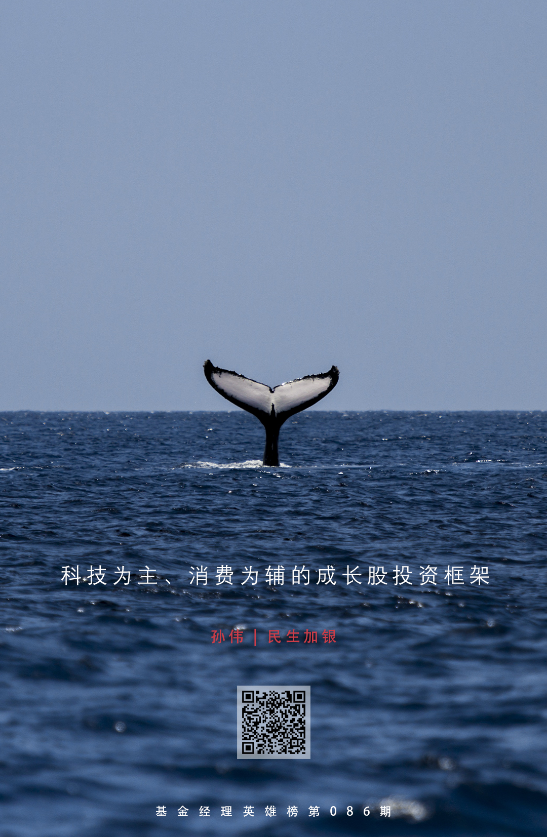 民生加银孙伟：用确定性捕获成长股的超额收益