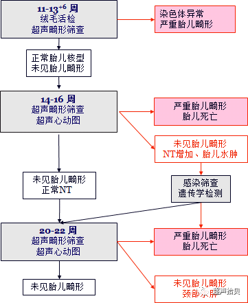 胎儿mt是什么检查什么疼吗【早孕专题】11-13周胎儿超声检查：胎儿染色体异常筛查 IV -NT增厚的管理_https://www.jmylbn.com_新闻资讯_第11张