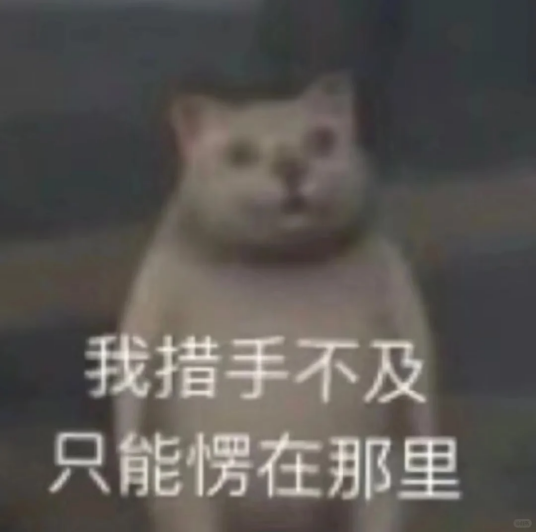 image13.png