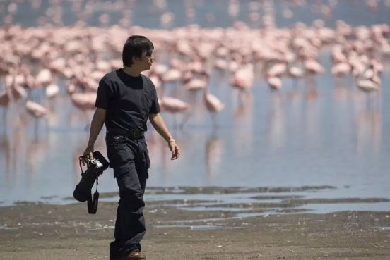 好利来蛋糕加盟费_沈阳好利来黑天鹅蛋糕价格_好利来蛋糕卡怎么用