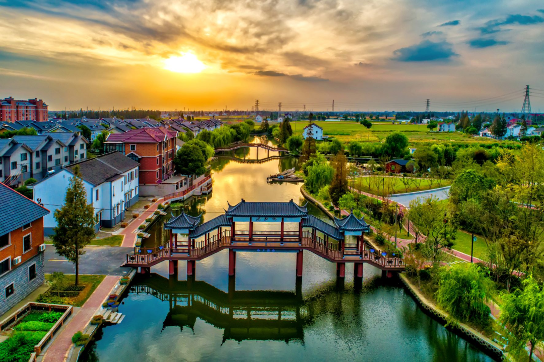 嘉善竟然还有那么多的美丽村庄这个夏天不去一趟实在太遗憾了