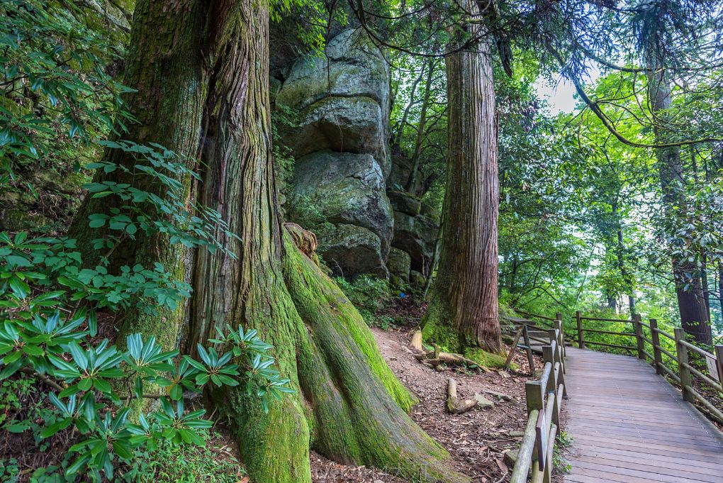 杭州西湖到杭州东站多远_西湖到杭州火车东站_杭州东站到西湖