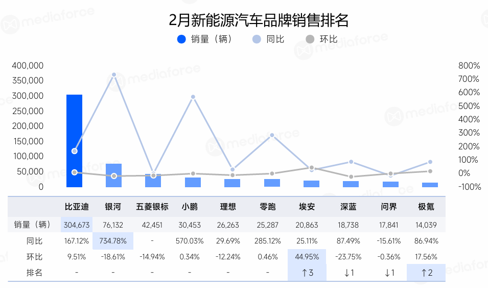 2月新能源汽车品牌销售排名