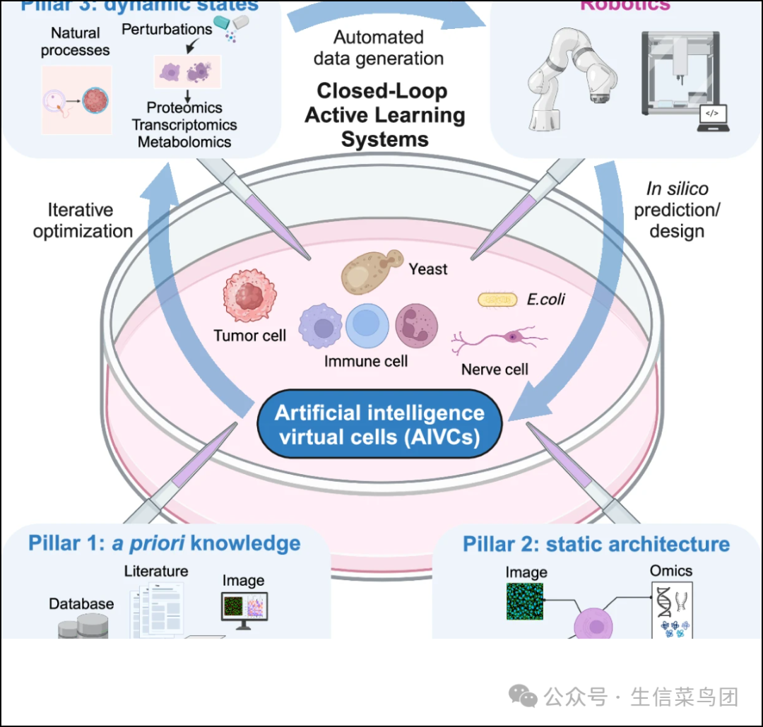 Cell Research | 培养 AI 虚拟细胞：三大数据支柱和闭环学习-腾讯云开发者社区-腾讯云