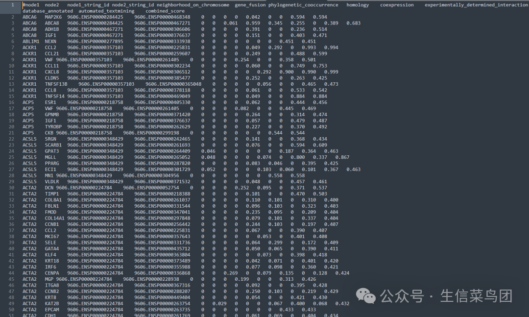 导出的结果内容
