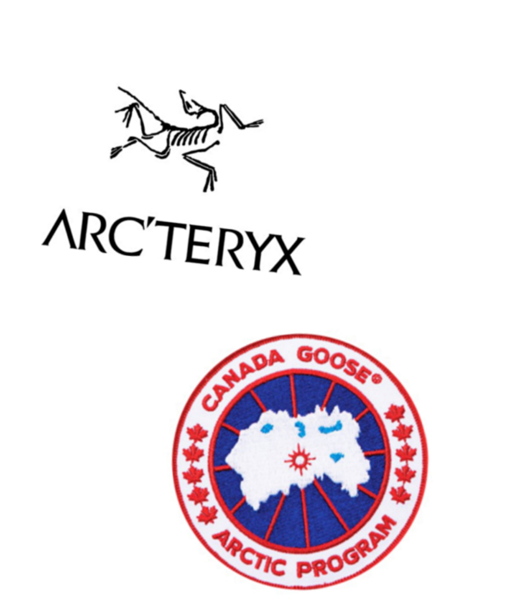 求人不如求己大鹅始祖鸟带头加拿大5000本土企业改线生产防疫物资