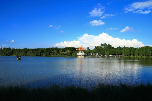 番禺市桥现楼，30X万买南向四房！龙光天瀛能买吗？