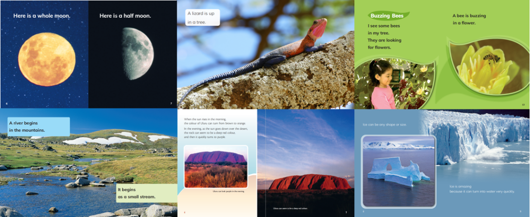 更适合中国孩子阅读的英语分级读物——《新魔法英语分级读物》