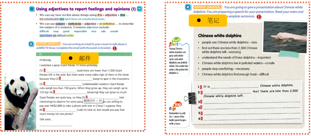 初中英语综合课程教材《新魔法英语》初中版 New Treasure Plus，中考英语命题方向，新课标中考英语命题趋势