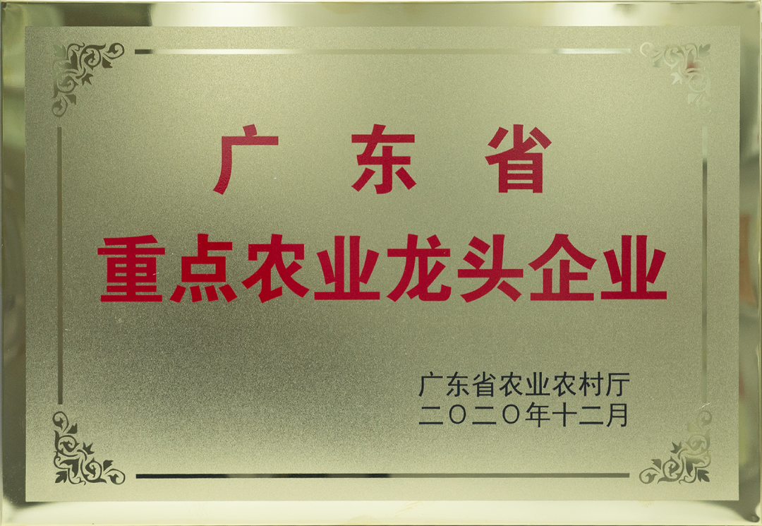 公司经验优势_优质公司如何选取经验_选取优质经验公司的理由