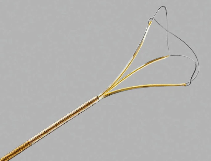 活检钳怎么消毒输尿管软镜手术器械：导丝、输尿管通路鞘、取石篮及活检器械、内镜消毒与维护_https://www.jmylbn.com_新闻资讯_第6张