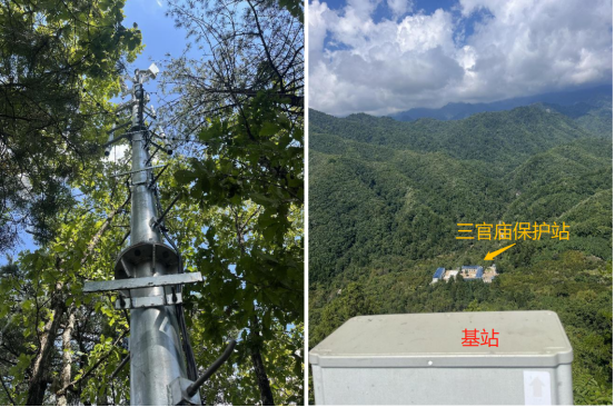 陜西移動(dòng)漢中分公司助力保護(hù)秦嶺大熊貓