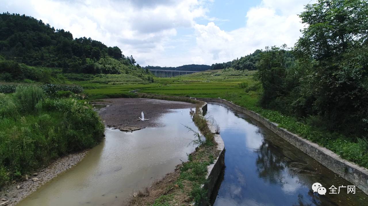 真的火了!贵阳一乡村引数十家媒体及省市区政府关注
