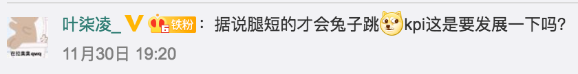 小短腿不要怕，除了可愛外，你落地的速度也比別人快啊|當熊不讓 寵物 第15張