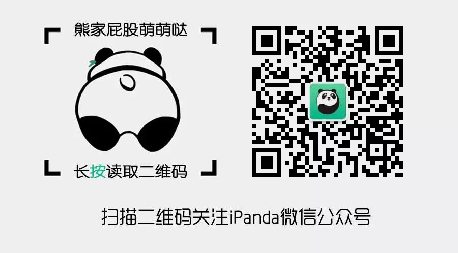 小短腿不要怕，除了可愛外，你落地的速度也比別人快啊|當熊不讓 寵物 第45張